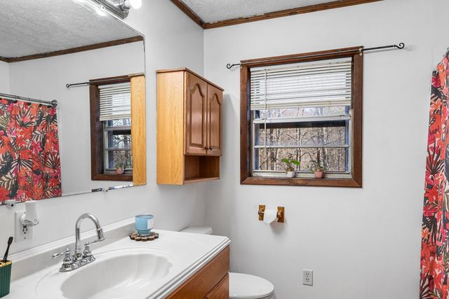 2906 Douthit Road, Mineral Bluff, GA 30559