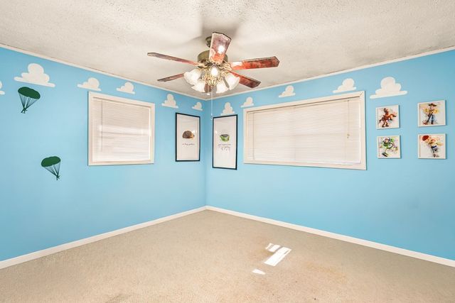 2906 Douthit Road, Mineral Bluff, GA 30559