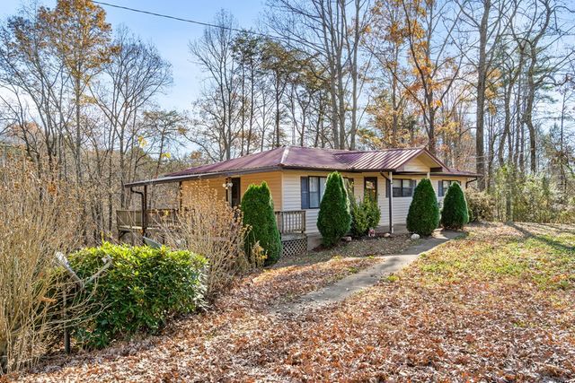 2906 Douthit Road, Mineral Bluff, GA 30559