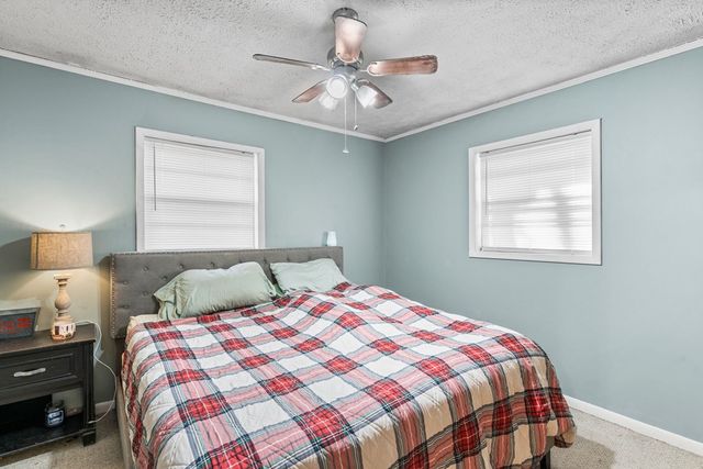 2906 Douthit Road, Mineral Bluff, GA 30559