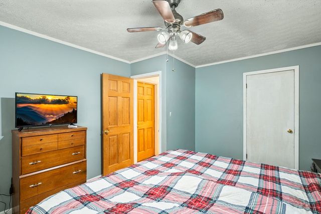 2906 Douthit Road, Mineral Bluff, GA 30559