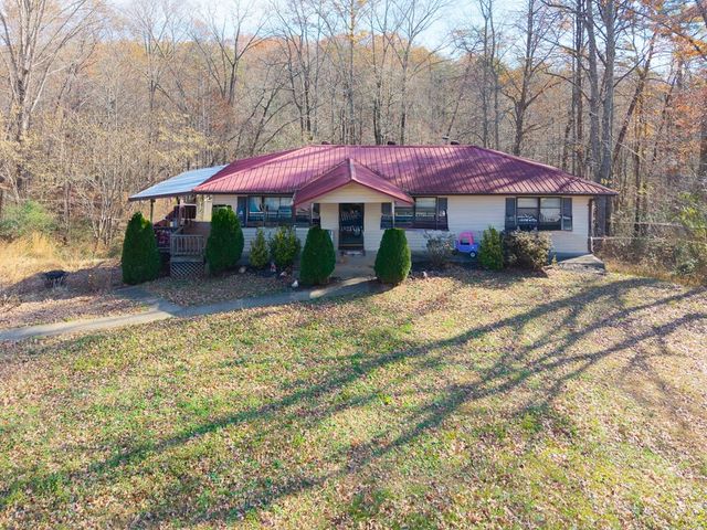 2906 Douthit Road, Mineral Bluff, GA 30559