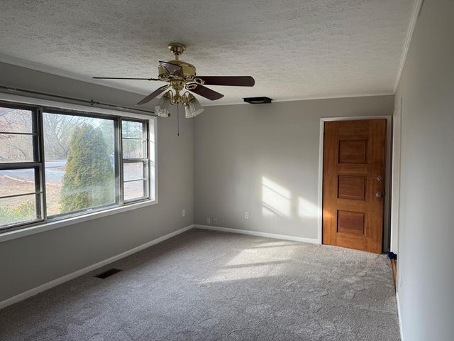 2906 Douthit Road, Mineral Bluff, GA 30559