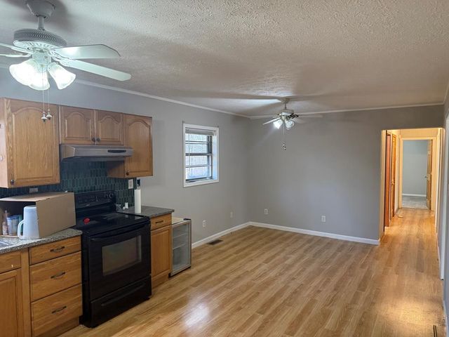 2906 Douthit Road, Mineral Bluff, GA 30559
