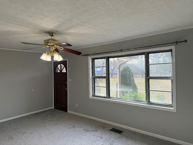 2906 Douthit Road, Mineral Bluff, GA 30559