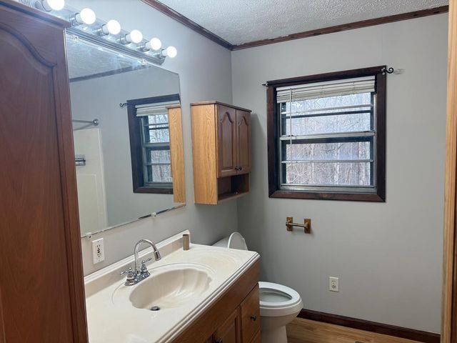 2906 Douthit Road, Mineral Bluff, GA 30559