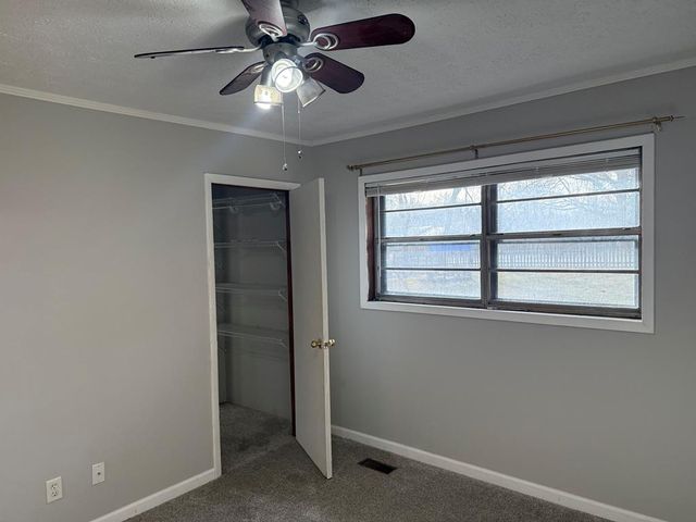 2906 Douthit Road, Mineral Bluff, GA 30559