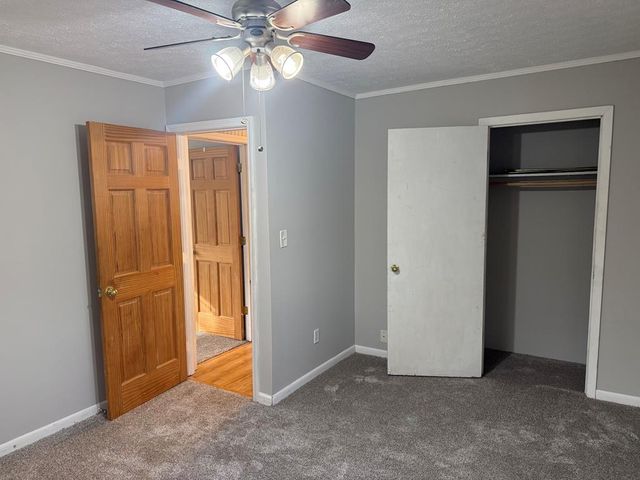 2906 Douthit Road, Mineral Bluff, GA 30559