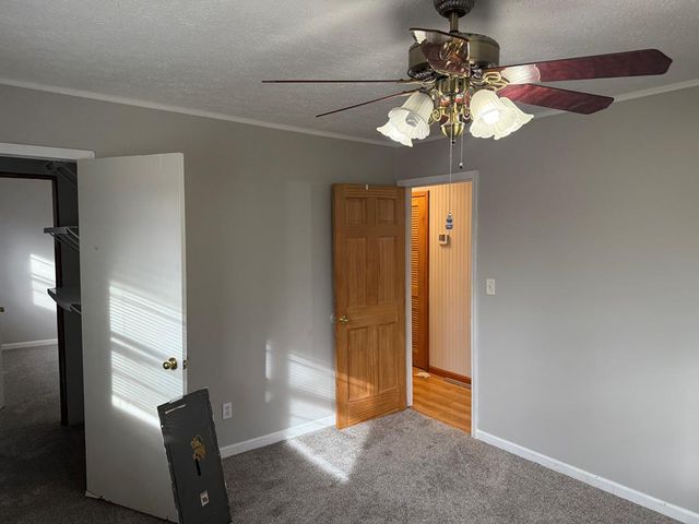 2906 Douthit Road, Mineral Bluff, GA 30559