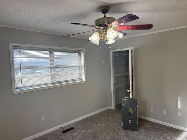 2906 Douthit Road, Mineral Bluff, GA 30559