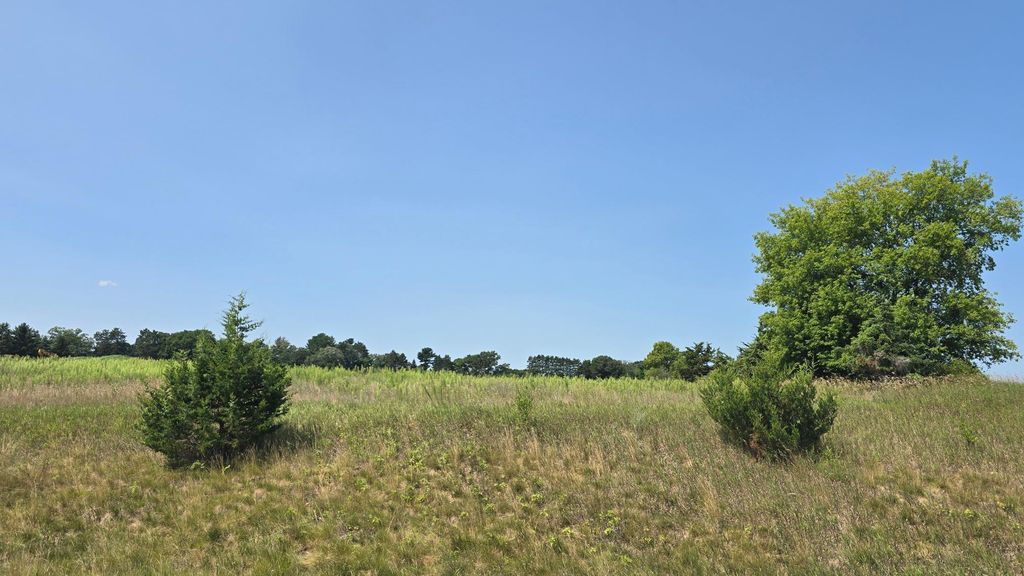 19xxx Tamarack Street NW, Oak Grove, MN 55011 — photo 2