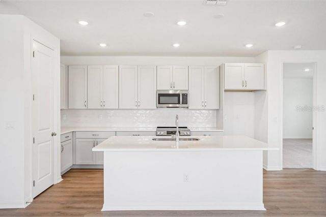 30173 EMERALD FOREST DRIVE, Mount Dora, FL 32757