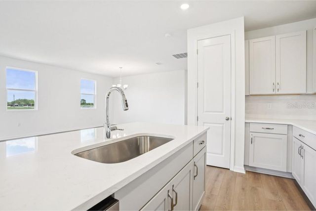 30173 EMERALD FOREST DRIVE, Mount Dora, FL 32757