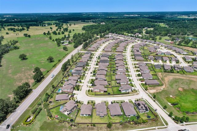 1419 Willoughby Mills Lane, Montgomery, TX 77316