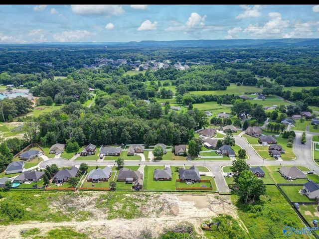 2902 Turtle Pond Lane, Hartselle, AL 35640