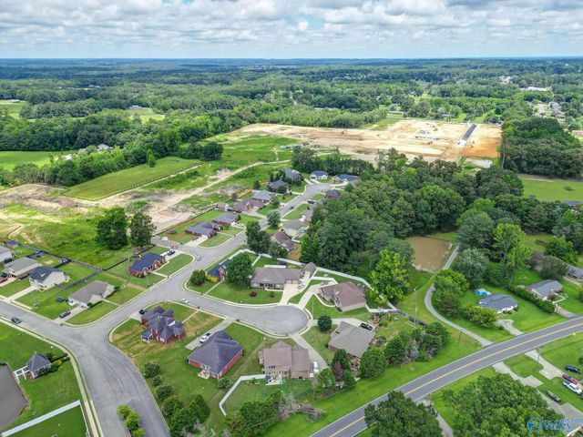 2902 Turtle Pond Lane, Hartselle, AL 35640