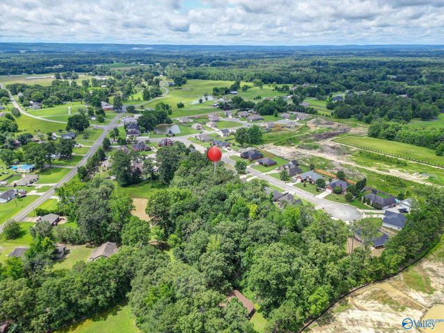 2902 Turtle Pond Lane, Hartselle, AL 35640