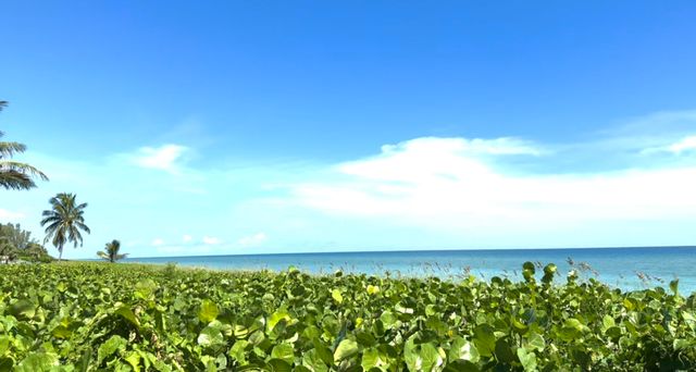 50 Celestial Way 305, Juno Beach, FL 33408