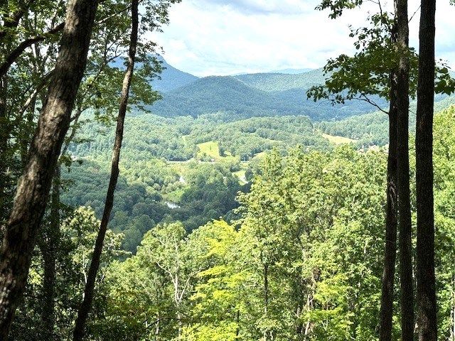19 Buckhead Hills, Hiawassee, GA 30546