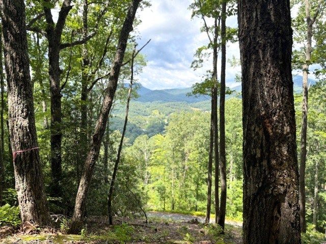19 Buckhead Hills, Hiawassee, GA 30546