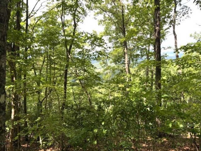 19 Buckhead Hills, Hiawassee, GA 30546