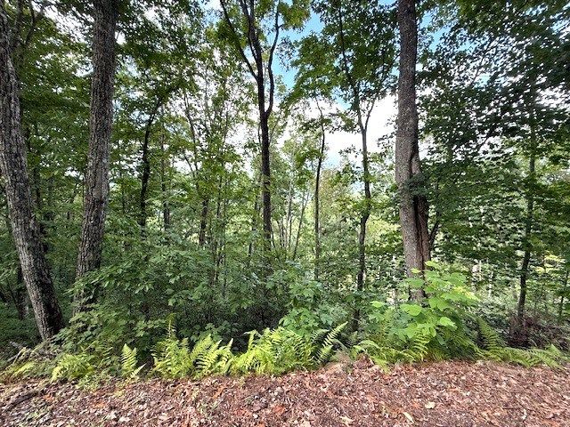 19 Buckhead Hills, Hiawassee, GA 30546