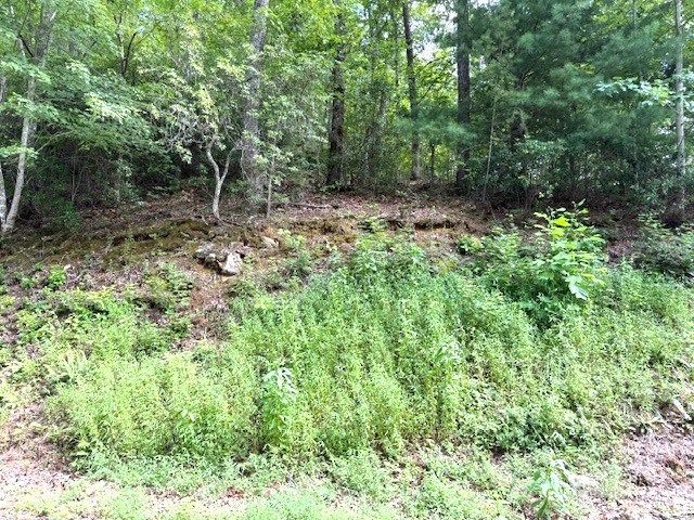 19 Buckhead Hills, Hiawassee, GA 30546