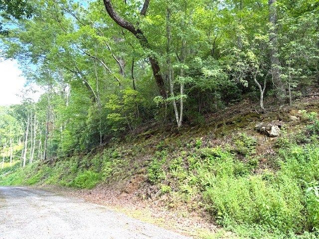 19 Buckhead Hills, Hiawassee, GA 30546
