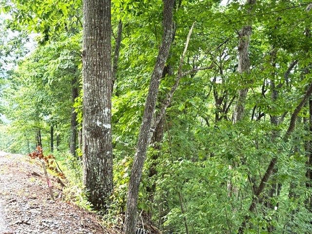 19 Buckhead Hills, Hiawassee, GA 30546