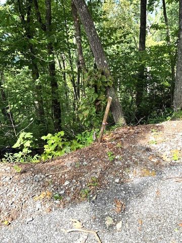 19 Buckhead Hills, Hiawassee, GA 30546
