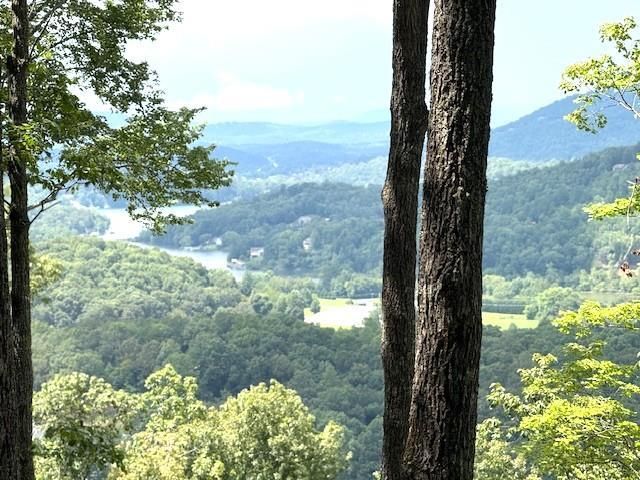 19 Buckhead Hills, Hiawassee, GA 30546