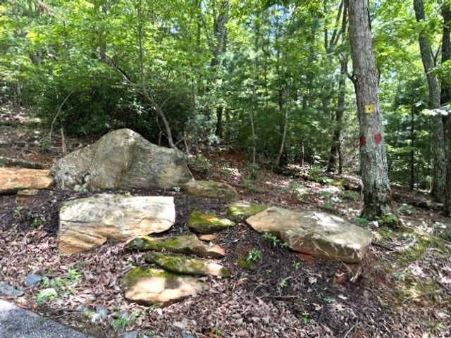 19 Buckhead Hills, Hiawassee, GA 30546