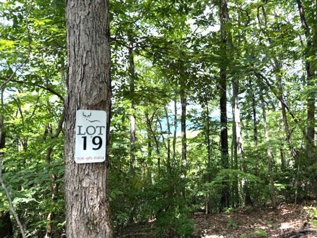 19 Buckhead Hills, Hiawassee, GA 30546