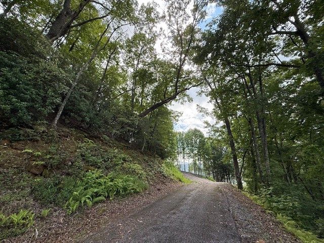 19 Buckhead Hills, Hiawassee, GA 30546