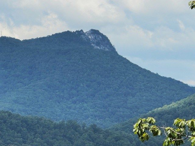 19 Buckhead Hills, Hiawassee, GA 30546