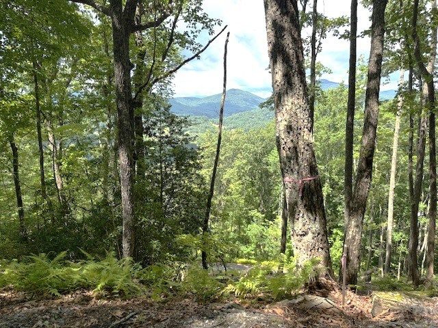 19 Buckhead Hills, Hiawassee, GA 30546