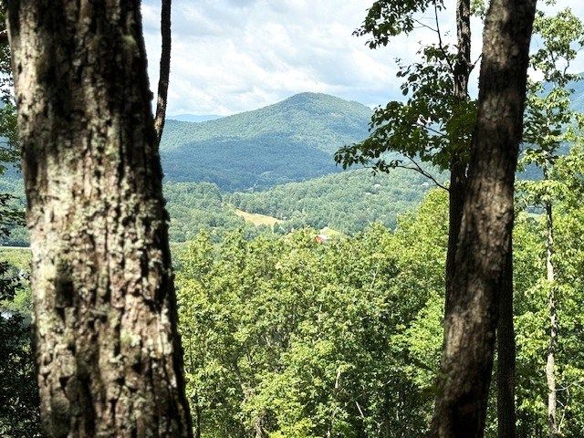 19 Buckhead Hills, Hiawassee, GA 30546