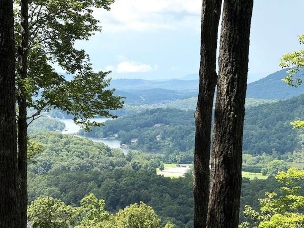 19 Buckhead Hills, Hiawassee, GA 30546