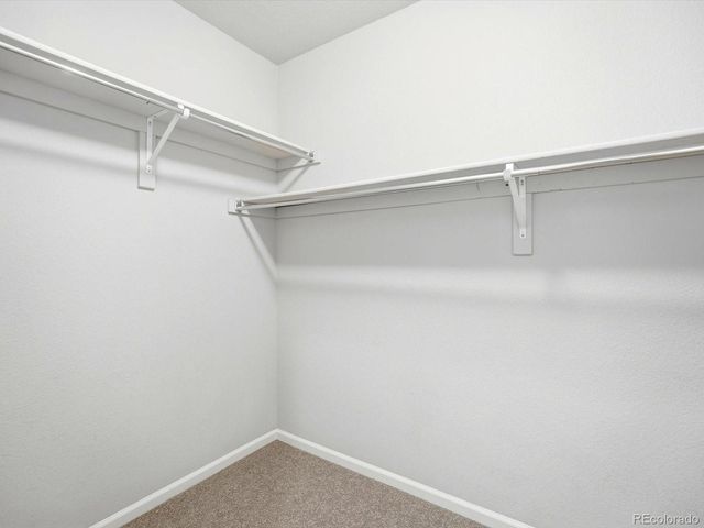 16035 E Elk Place, Denver, CO 80239