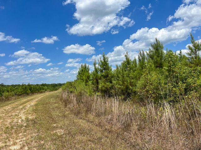 0 Us 69, Warren, TX 77664