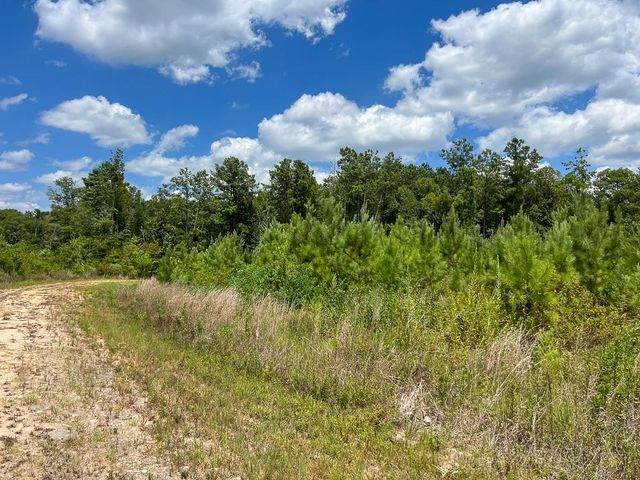0 Us 69, Warren, TX 77664