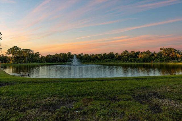 682 BOTTLEBRUSH WAY, Tarpon Springs, FL 34688