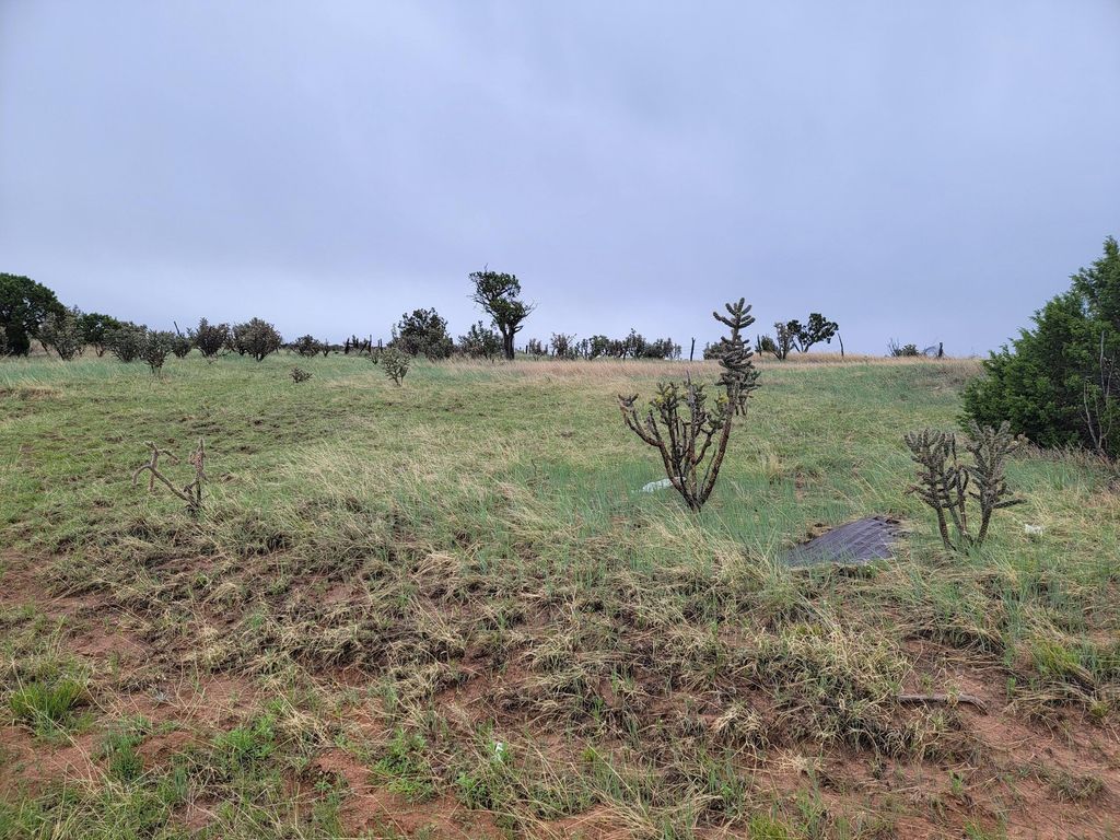 60 Majestic Loop, Moriarty, NM 87035