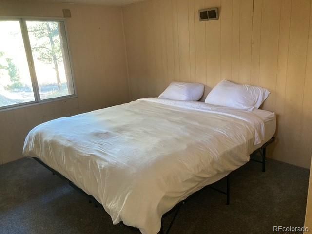 19221 S Buffalo Creek Road, Pine, CO 80470