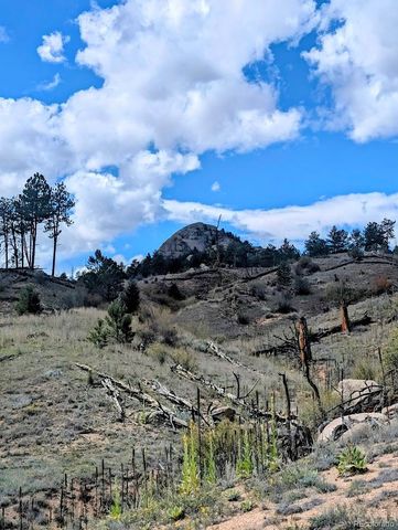 19221 S Buffalo Creek Road, Pine, CO 80470
