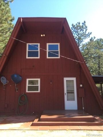 19221 S Buffalo Creek Road, Pine, CO 80470