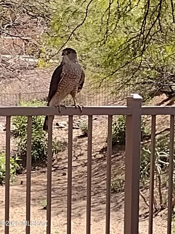 13401 N Rancho Vistoso Blvd Unit 270, Oro Valley, AZ 85755