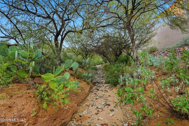 13401 N Rancho Vistoso Blvd Unit 270, Oro Valley, AZ 85755