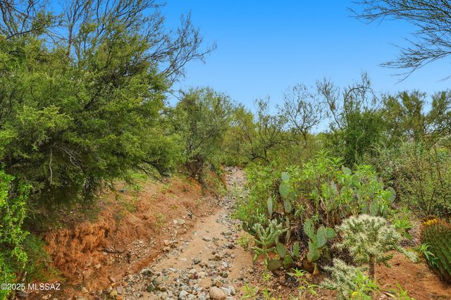 13401 N Rancho Vistoso Blvd Unit 270, Oro Valley, AZ 85755