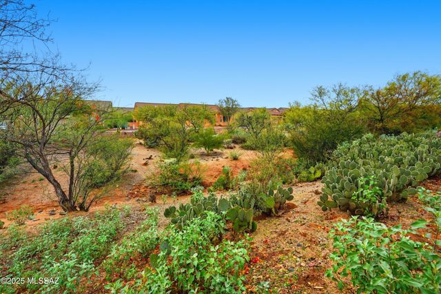 13401 N Rancho Vistoso Blvd Unit 270, Oro Valley, AZ 85755